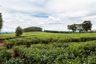 Malawi Hava tahmini