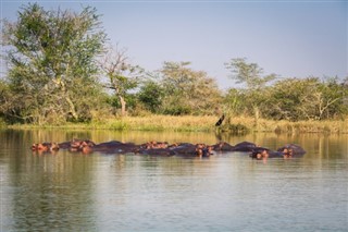 Malawi vejrudsigt