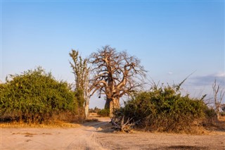 Malawi hava tahmini