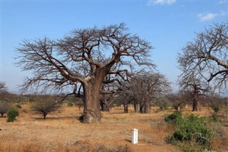 Malawi vejrudsigt