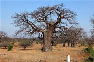 Malawi Hava tahmini