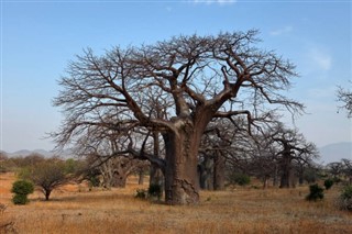 Malawi hava tahmini