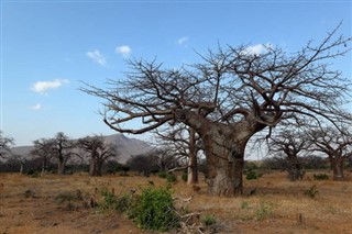 Malawi vejrudsigt