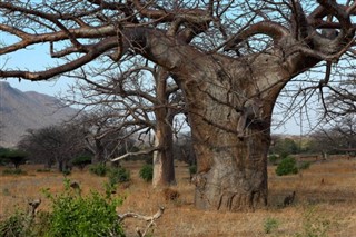 Malawi hava tahmini