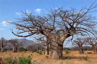 Malawi vejrudsigt