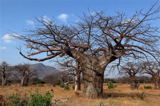 Malawi hava tahmini