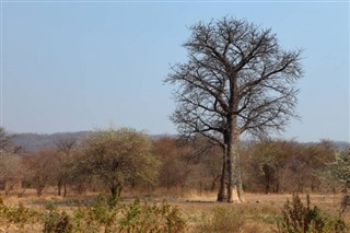 Malawi hava tahmini