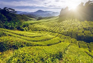 Malaysia vejrudsigt