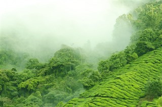 Malaysia vejrudsigt