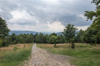 Mali hava tahmini