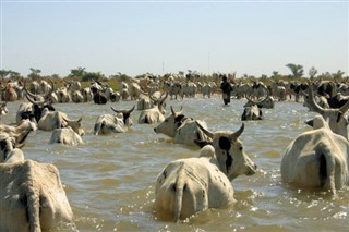 Mali hava tahmini