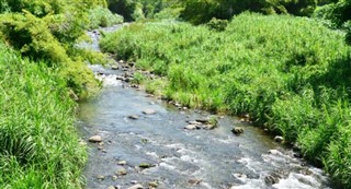 Martinique vejrudsigt