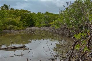 Martinique vejrudsigt