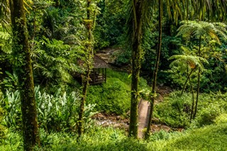 Martinique vejrudsigt