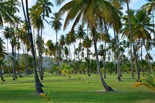 Martinique vejrudsigt