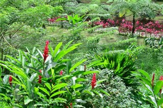 Martinique vejrudsigt