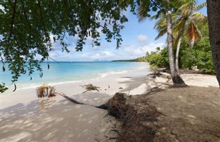 Martinique vejrudsigt