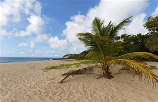 Martinique vejrudsigt