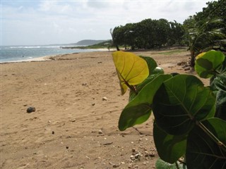 Martinique vejrudsigt