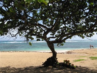 Martinique vejrudsigt