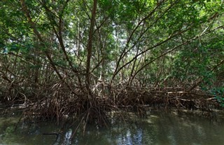 Martinique vejrudsigt