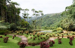 Martinique vejrudsigt