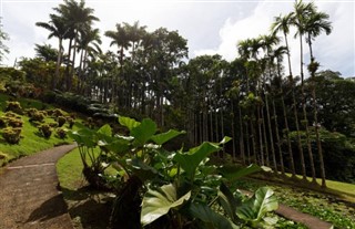 Martinique vejrudsigt