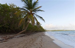 Martinique vejrudsigt