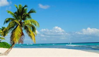 Martinique vejrudsigt