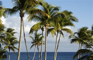 Martinique Időjárás-jelentés