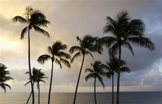Martinique prévisions météorologiques