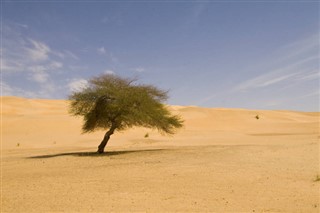 Moritanya hava tahmini