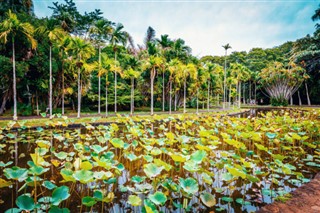 Mauritius vejrudsigt
