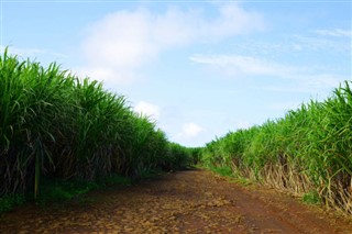 Mauritius időjárás-jelentés
