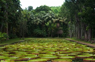 Mauritius időjárás-jelentés