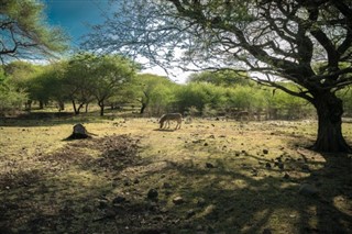 Mauritius hava tahmini