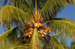 Mauritius időjárás-jelentés