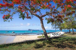 Mauritius weather forecast