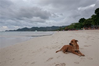 Mauritius hava tahmini