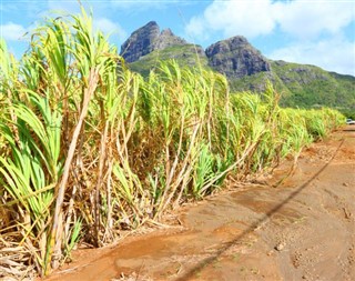 Mauritius vejrudsigt