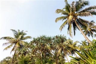 Mauritius vejrudsigt