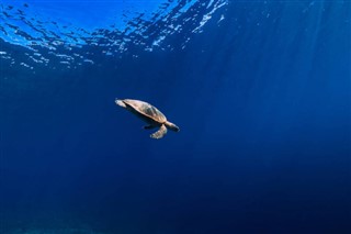 Mayotte hava tahmini