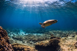 Mayotte hava tahmini