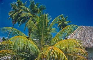 Mayotte vejrudsigt