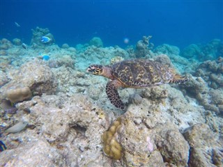 Mayotte vejrudsigt