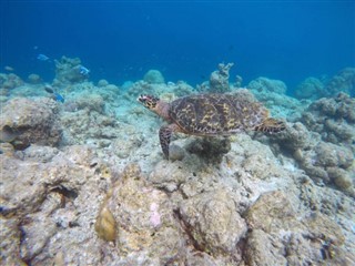 Mayotte vejrudsigt