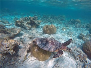 Mayotte prévisions météorologiques