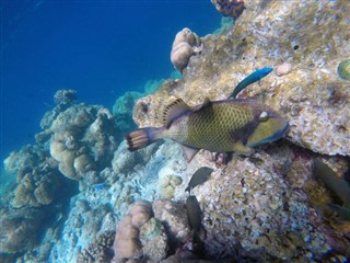 Mayotte hava tahmini