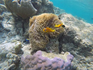 Mayotte vejrudsigt