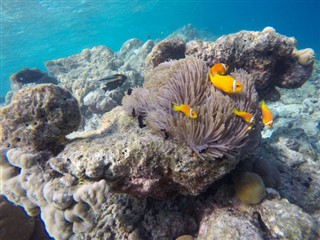 Mayotte vejrudsigt